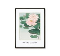 
              Ohara Koson - Water Lily (1920 - 1930) by Ohara Koson (1877-1945)
            