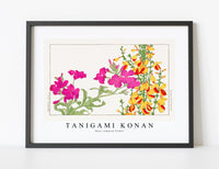 
              Tanigami Konan - Rose campion flower
            