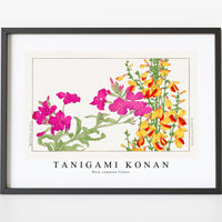 Tanigami Konan - Rose campion flower