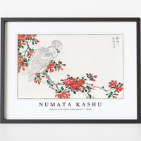 Numata Kashu - Parrot and Pyrus spectabilis illustration from Pictorial Monograph of Birds (1885)
