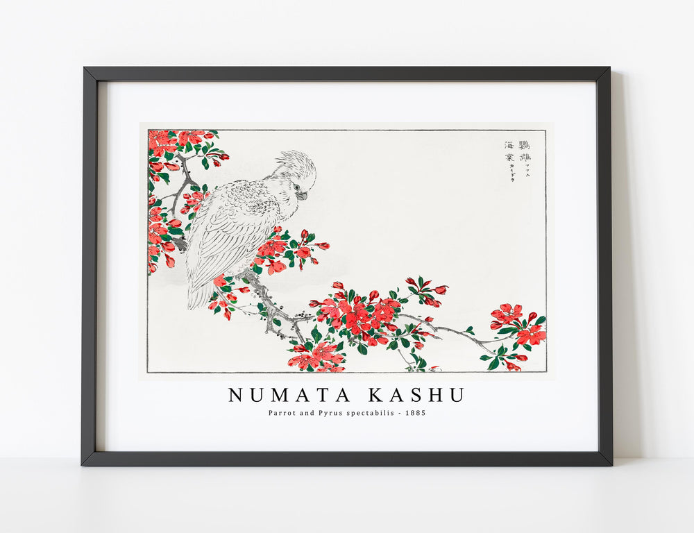 Numata Kashu - Parrot and Pyrus spectabilis illustration from Pictorial Monograph of Birds (1885)