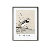 
              Ohara Koson - Lapwing and reed, Ohara Koson (1900 - 1930) by Ohara Koson (1877-1945)
            