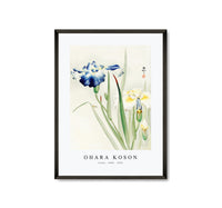 
              Ohara Koson - Irises (1900 - 1936) by Ohara Koson (1877-1945)
            
