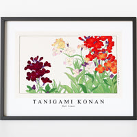 Tanigami Konan - Wall flower