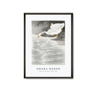 
              Ohara Koson - Geese on the shore (1900 - 1930) by Ohara Koson (1877-1945)
            