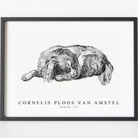 Cornelis ploos van amstel - Lying dog-1777