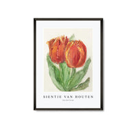 
              Sientje Van Houten - Two Red Tulips
            