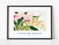 
              Tanigami Konan - Oncidium
            