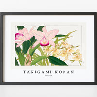 Tanigami Konan - Oncidium