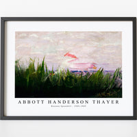 abbott handerson thayer - Roseate Spoonbill-1905-1909