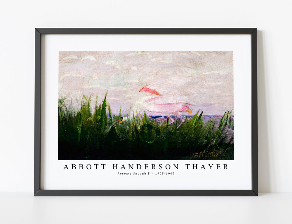 abbott handerson thayer - Roseate Spoonbill-1905-1909