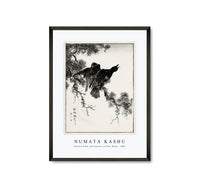 
              Numata Kashu - Eastern Rook and Cypress on New Moon illustration from Pictorial Monograph of Birds (1885)
            