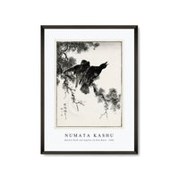 Numata Kashu - Eastern Rook and Cypress on New Moon illustration from Pictorial Monograph of Birds (1885)