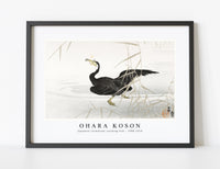 
              Ohara Koson - Japanese cormorant catching fish (1900-1910) by Ohara Koson (1877-1945)
            