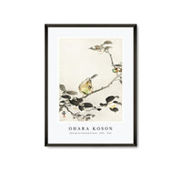 
              Ohara Koson - Bunting on blossom branch (1900 - 1930) by Ohara Koson (1877-1945)
            