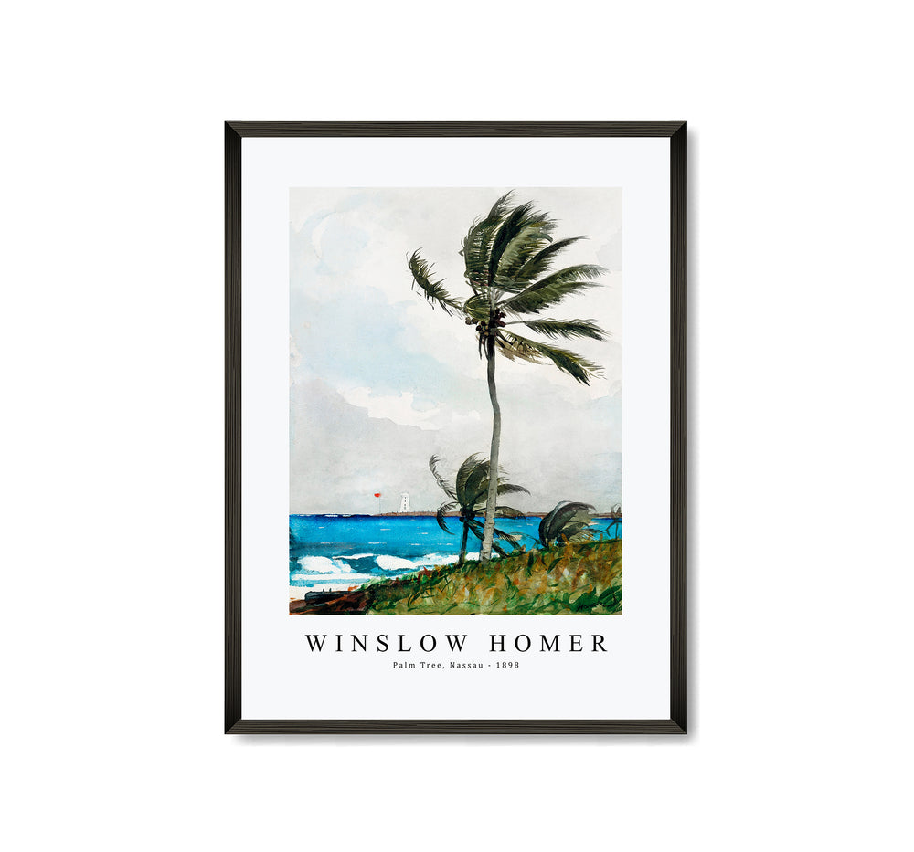 winslow homer - Palm Tree, Nassau-1898