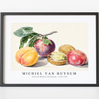 Michiel Van Huysum - Fruits by Michiel van Huysum (1714-1760)