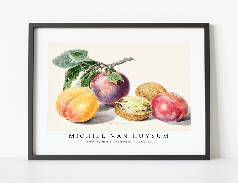 Michiel Van Huysum - Fruits by Michiel van Huysum (1714-1760)