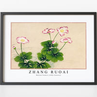 Zhang Ruoai - Mallow flowers (18th Century)