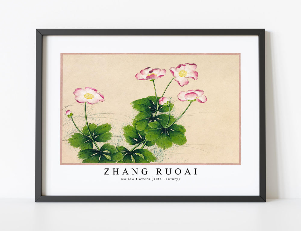Zhang Ruoai - Mallow flowers (18th Century)