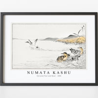 Numata Kashu - Falcated Teal and Reed illustration from Pictorial Monograph of Birds (1885)