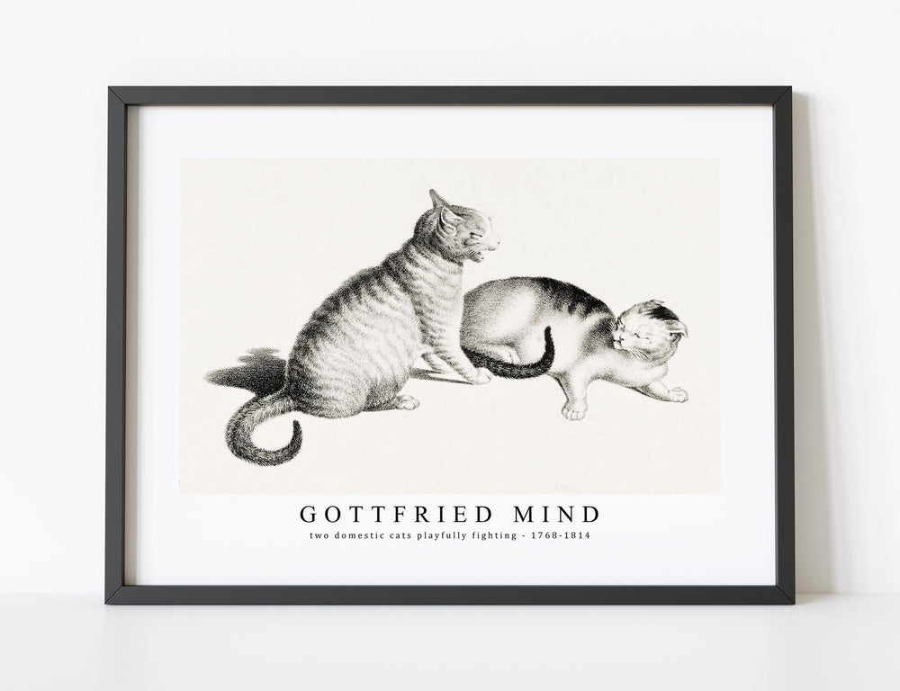 Gottfried Mind - Illustration of two domestic cats playfully fighting by Gottfried Mind (1768-1814)