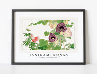 
              Tanigami Konan - Albizia & aristolochia flower
            