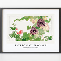 Tanigami Konan - Albizia & aristolochia flower