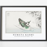 Numata Kashu - Spectacled Teal and Snow-bent Bamboo illustration from Pictorial Monograph of Birds (1885)