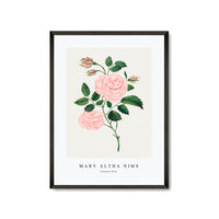 Mary Altha Nims - Damask Rose