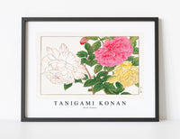 
              Tanigami Konan - Rose flower
            