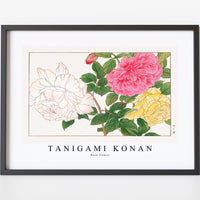 Tanigami Konan - Rose flower