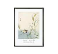 
              Ohara Koson - Bird and butterfly (1900 - 1930) by Ohara Koson (1877-1945)
            