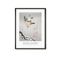 
              Ohara Koson - Sparrows and snowy plum tree (1900 - 1936) by Ohara Koson (1877-1945)
            