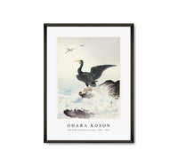 
              Ohara Koson - Red mask cormorant on rock (1900 - 1936) by Ohara Koson (1877-1945)
            