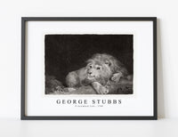 
              George Stubbs - A recumbent Lion 1788
            