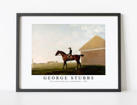 
              George Stubbs - Turf, with Jockey up, at Newmarket 1766
            