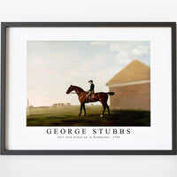 George Stubbs - Turf, with Jockey up, at Newmarket 1766