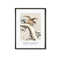
              Ohara Koson - Eagle on a tree branch (1887 - 1930) by Ohara Koson (1877-1945)
            