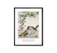 
              Ohara Koson - Birds and plants (1900 - 1936) by Ohara Koson (1877-1945) (3)
            