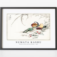 Numata Kashu - Mandarin Duck and Pearl Barley illustration from Pictorial Monograph of Birds (1885)
