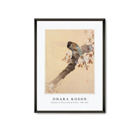 
              Ohara Koson - Pheasant on cherry blossom branch (1887-1945)
            