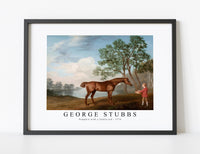 
              George Stubbs - Pumpkin with a Stable-lad 1774
            