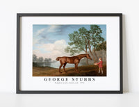 
              George Stubbs - Pumpkin with a Stable-lad 1774
            