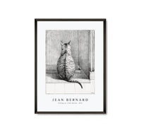 
              Jean Bernard - Sitting cat, from behind (1812)
            