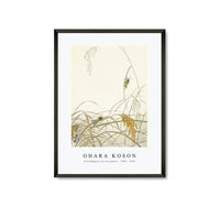 
              Ohara Koson - Grasshoppers on rice plants (1900 - 1936) by Ohara Koson (1877-1945)
            