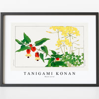 Tanigami Konan - Wood sorrel