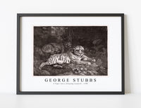 
              George Stubbs - A Tiger and a Sleeping Leopard 1788
            