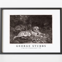 George Stubbs - A Tiger and a Sleeping Leopard 1788