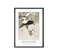 
              Ohara Koson - Crow with cherry blossom (1900 - 1930) by Ohara Koson (1877-1945)
            